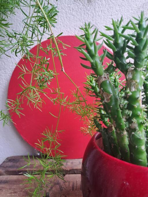 Appartement Cosy Avec Jardin Et Parking جينوفييه المظهر الخارجي الصورة